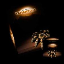 แหวนลอย ขยับของ เลื่อนของ ทำของลอยพลังจิต TARANTULA by Yigal Mesi รูปที่ 5