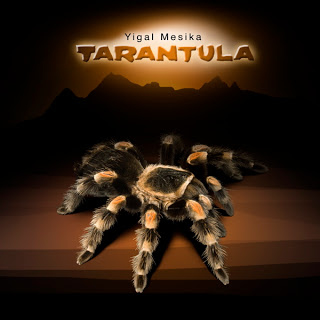 แหวนลอย ขยับของ เลื่อนของ ทำของลอยพลังจิต TARANTULA by Yigal Mesi รูปที่ 2