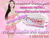 รูปย่อ MeloveCollagen รูปที่2