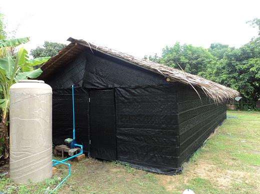 ขายก้อนเชื้อเห็ดนางฟ้า รังสิต0869922562 รูปที่ 6