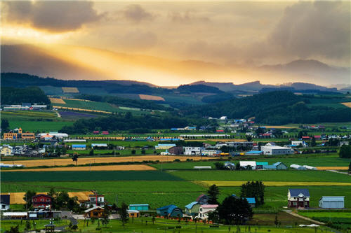 ทัวร์ฮอกไกโดวันพ่อ 2556 Hokkaido Tohoku เหมาลำ 6วัน4คืน รูปที่ 1