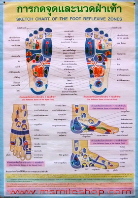 โปสเตอร์ภาพนวด  ภาพการนวดแผนไทย  โปสเตอร์กดจุดมือ โปสเตอร์นวดเท้า   รูปที่ 3