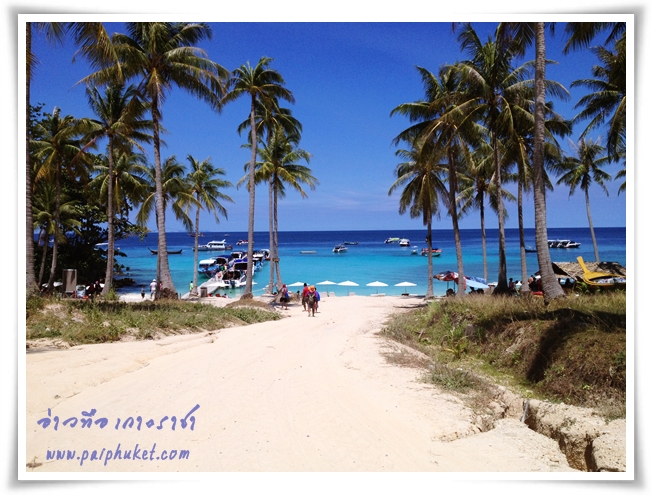 ทัวร์เกาะราชา 1 วัน ดำน้ำพร้อมอุปกรณ์ อาหารเที่ยงและรถรับส่งฟรี | ไปภูเก็ต.คอม รูปที่ 2