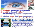 บลูเบอร์รี่ อายแคร์ ซอฟท์เจล Blueberry Eyecare Softgel รักษาเซลล์ม่านตา โรคเกี่ยวกับสายตาดีเยี่ยม