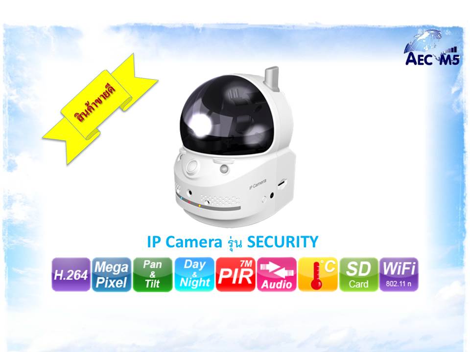 IP Camera รูปที่ 1
