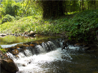  ขายทีดินติดลำธาร 9 ไร่ ราคาไร่ละ 500,000 วิวสวย อากาศดี+*- รูปที่ 1