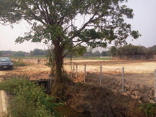 Land for sale @ Sarapee, Chiang Mai รูปที่ 2