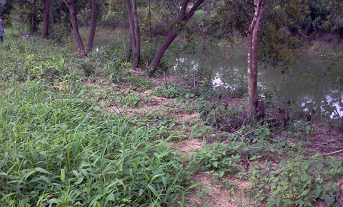 Land for sale @ Chiang Mai รูปที่ 6