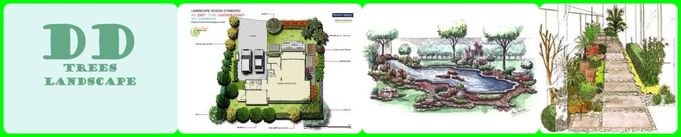 didi-landscape-design รูปที่ 6