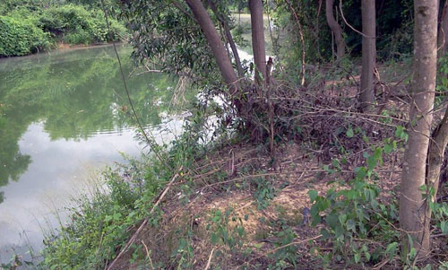 Land for sale @ Chiang Mai รูปที่ 5