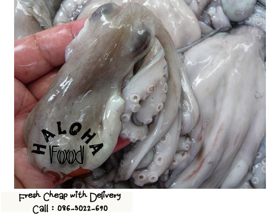 ขายอาหารทะเลสดๆ ปลีก ส่งถูกสุดๆ ส่งตรงถึงบ้าน กุ้งสด ปลาหมีก รูปที่ 4