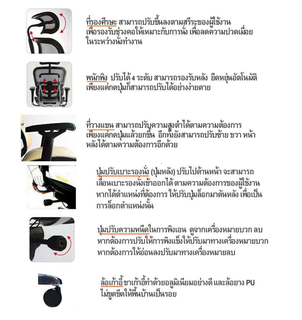เก้าอี้แก้ปวดหลัง ยอดขายดีเป็นอันดับ 1 กว่า 40 ประเทศทั่วโลก รูปที่ 5
