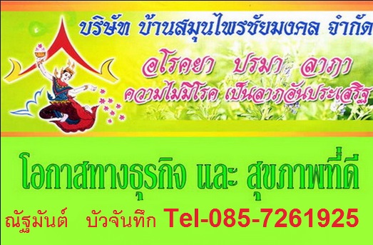 คลอโรฟิลล์ บริสุทธิ์ 100 %บ้านสมุนไพรชัยมงคล รูปที่ 7