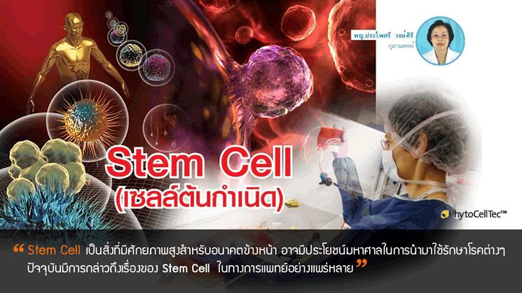 ที่สุดของการได้เงินเยอะ 1,500-19,000 บาท ต่อ 1 การแนะนำ ได้ทันทีในวันรุ่งขึ้น สุดยอดของอาหารเสริม คืนความเยาว์วัย แก้ปัญหาสุขภาพ กับสเต็มเซลล์แบบทานจากสวิส มีอย. รางวัลนวัตกรรม รูปที่ 4