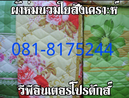 ซื้อ จำหน่าย ผ้าห่มสีพื้น ผ้าห่มสำลี ผ้าห่ม ผ้าบริจาค ขายส่งผ้าห่มสำลี ผ้าห่มนาโน ผ้าห่มบริจาคต้านภัยหนาว ผ้าห่มเบียร์ช้าง 081-3120482,027374802-3 รูปที่ 2