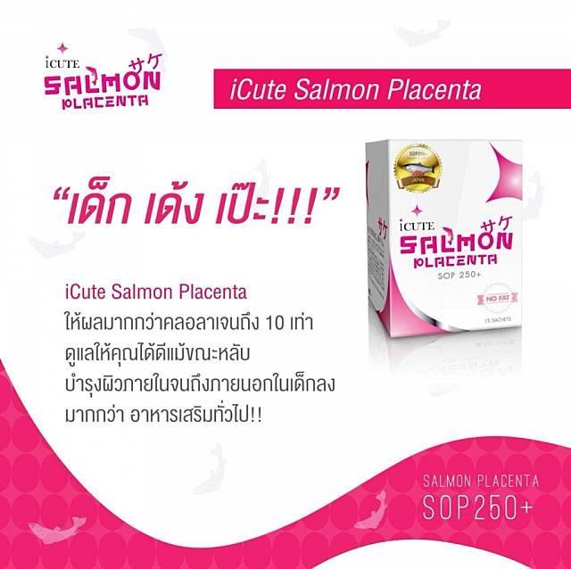 ไอคิ้ว แซลมอน icute salmon Placenta รกปลาหน้าเด้ง เด็ก เด้ง เป๊ะ  รูปที่ 3