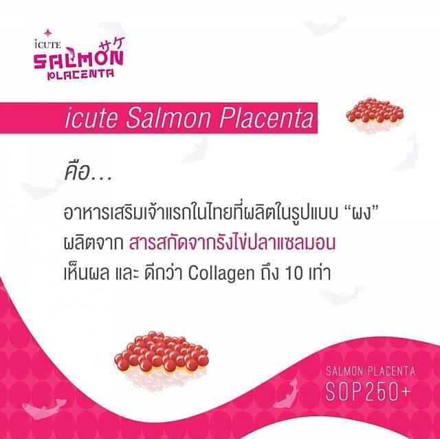 ไอคิ้ว แซลมอน icute salmon Placenta รกปลาหน้าเด้ง เด็ก เด้ง เป๊ะ  รูปที่ 4