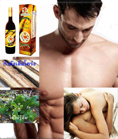 ยาน้ำสมุนไพรกำลังเสือโคร่งหมอทองอินทร์ รูปที่ 3