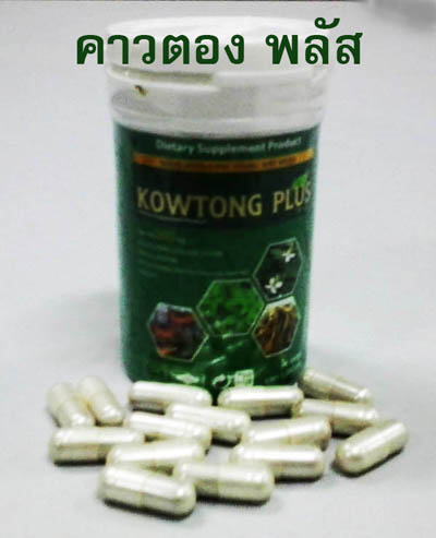 คาวตอง พลัส(Kowtong plus) รูปที่ 1