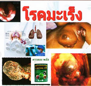 คาวตอง พลัส(Kowtong plus) รูปที่ 7