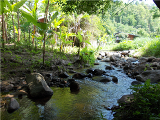 ขายทีดินติดลำธาร 300 เมตร  9 ไร่ ราคาไร่ละ 500000 บาท. รูปที่ 1