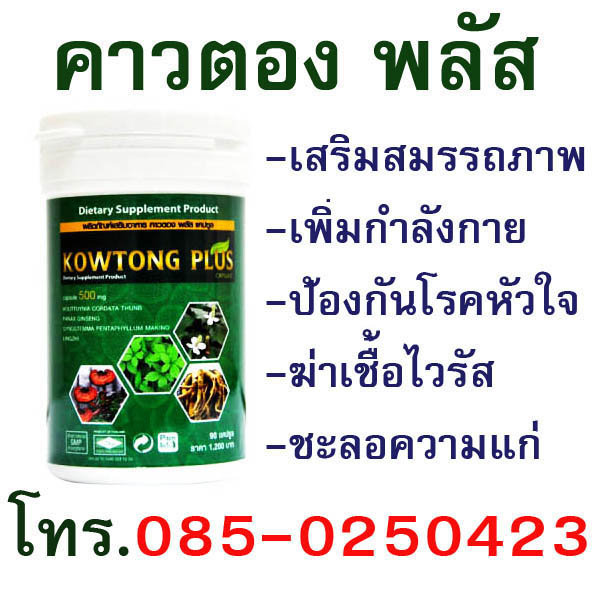 คาวตอง พลัส(Kowtong plus) รูปที่ 3