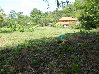 ขายทีดินติดลำธาร 300 เมตร  9 ไร่ ราคาไร่ละ 500000 บาท รูปที่ 1