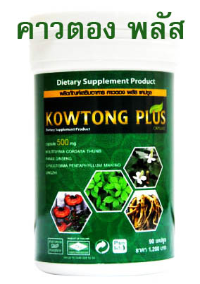 คาวตอง พลัส(Kowtong plus) รูปที่ 2