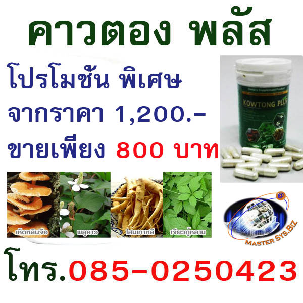 คาวตอง พลัส(Kowtong plus) รูปที่ 4