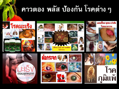คาวตอง พลัส(Kowtong plus) รูปที่ 5