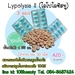 รูปย่อ ไลโปไลซิส ทู (Lypolysis II)สมุนไพรลดน้ำหนักสุดฮิต ลดได้ 4-8 กก./เดือน ไม่โยโย่ รูปที่3