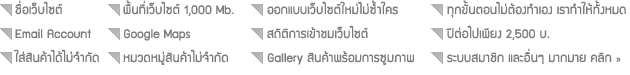 รับทำเว็บไซต์ , รับออกแบบเว็บไซต์ รูปที่ 2