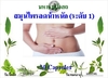 รูปย่อ ผลิตภัณฑ์สมุนไพรลดน้ำหนักราคาถูก รูปที่2