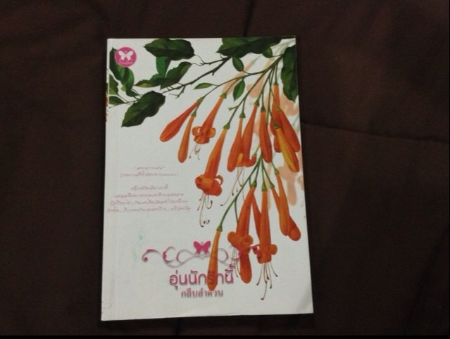 ขายหนังสืออ่านเอง สภาพ 80-98% หนังสือหายาก อัญชรีย์ ภัสรสา ปราณธร  ชาลีน มาเฟียตุ๊กตาหมี ณ ลานดาว ณ สุดเส้นขอบฟ้า อลเองรักครอบครัวกำมะลอ  รูปที่ 2