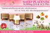 รูปย่อ รกแกะ Angel's secret Sheep Placenta 38,000mg.MAX CoQ10&amp;ACE Plus จากออสเตรเลีย รูปที่3