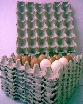 ขายถาดไข่กระดาษ (แบบ 30 ฟอง) รูปที่ 1