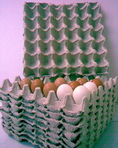 ขายถาดไข่กระดาษ (แบบ 30 ฟอง)