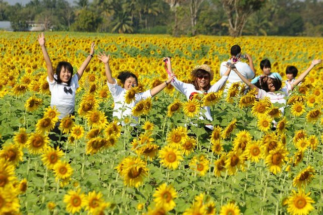 Book hotels and resorts in the country and abroad with online taluithailand.com. รูปที่ 1