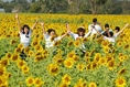 Book hotels and resorts in the country and abroad with online taluithailand.com.