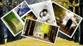 จองโรงแรม ที่พัก รีสอร์ท ในประเทศ และต่างประเทศ ออนไลน์ กับ taluithailand.com