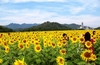 รูปย่อ จองโรงแรม ที่พัก รีสอร์ท ในประเทศ และต่างประเทศ ออนไลน์ กับ taluithailand.com รูปที่5