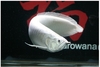 รูปย่อ *****----ขาย ปลามังกรเงิน สีขาว snow arowana อายุ 4 ปี ยาว32"---------***** รูปที่5