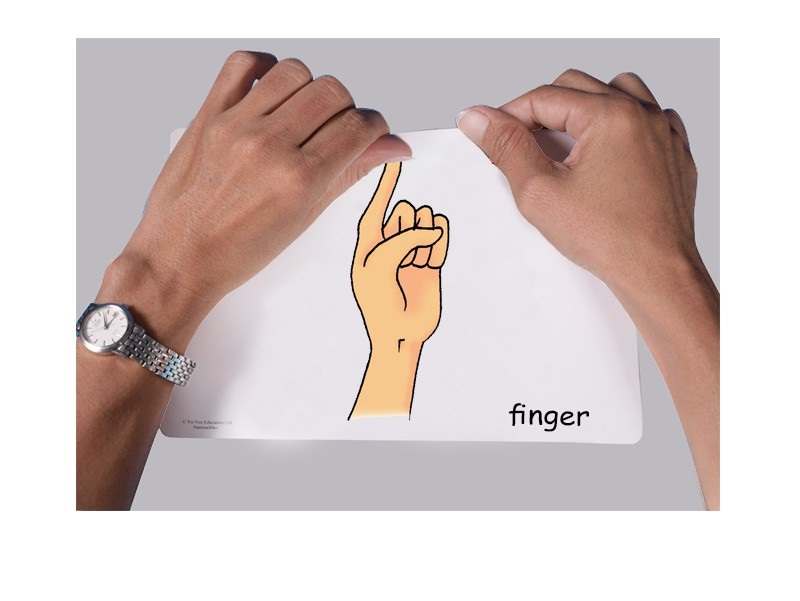 บัตรคำศัพท์ประกอบภาพ ส่วนต่างๆ ของร่างกาย Bodyparts Flashcards รูปที่ 4
