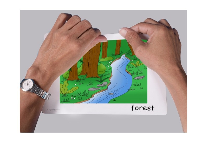 บัตรคำศัพท์ประกอบภาพ ธรรมชาติ Nature FlashCards  รูปที่ 4