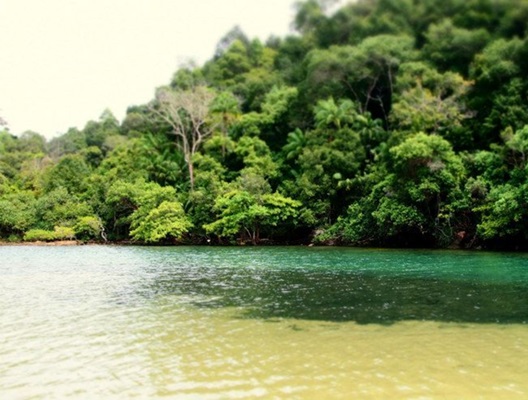 ATV Salakphet Adventure ท่องเที่ยวเกาะช้าง  รูปที่ 4
