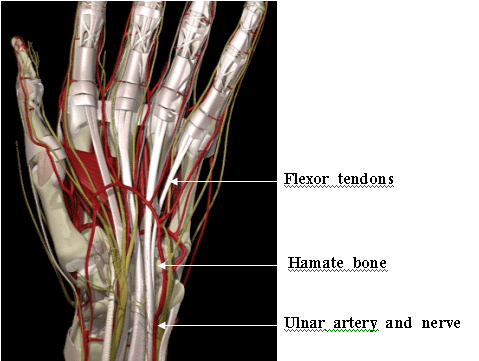 ไลโปอิกแอซิด  ช่วยลดอาการชาปลายมือปลายเท้า ปลายประสาทเสื่อม รูปที่ 4