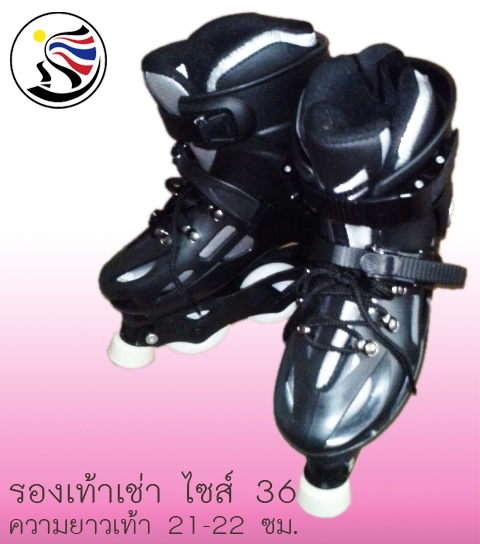 อินไลน์ฟิกเกอร์สเก็ตให้เช่า รูปที่ 2