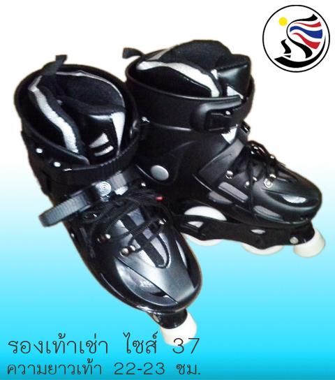 อินไลน์ฟิกเกอร์สเก็ตให้เช่า รูปที่ 3