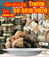ขาย เห็ดทรัฟเฟิล TRUFFLE และ ผลิตภัณฑ์ เห็ดทรัฟเฟิล ชนิดต่างๆ Truffle products รูปที่ 2