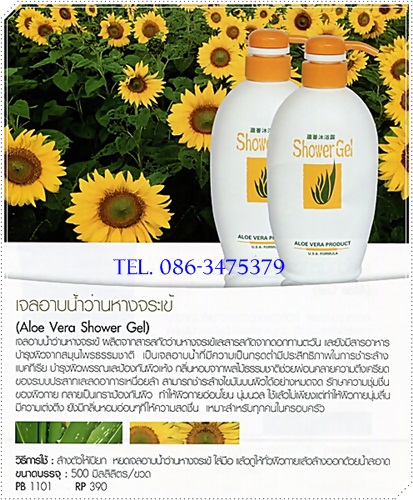 เจลอาบน้ำว่านหางจระเข้ (Aloe Vera Shower Gel)  รูปที่ 1